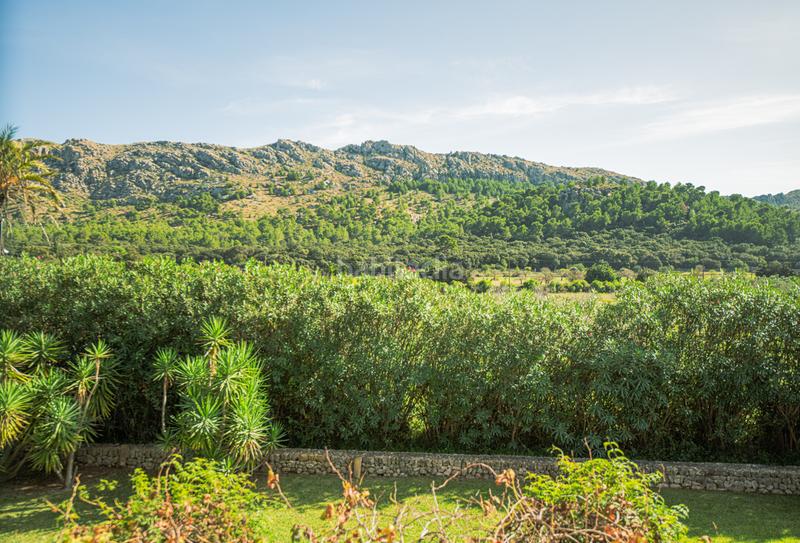 Foto 54853770-9c5e-4519-ab72-f4f274b9491a. Rent country house with parking in Pollença poble Pollença