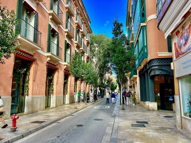 Foto bebe9850-c3ec-4419-a9f5-0b5ef089b511. Lloguer àtic a Cort Palma de Mallorca