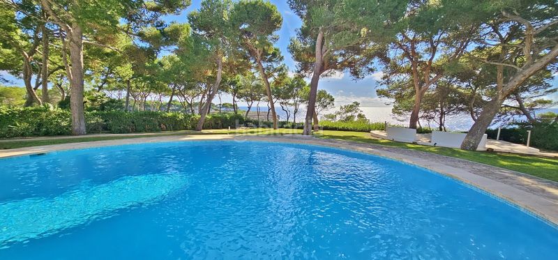 Foto db79401e-46d8-4605-b118-a5415c57e44a. Casa amb piscina a Portopetro Santanyí