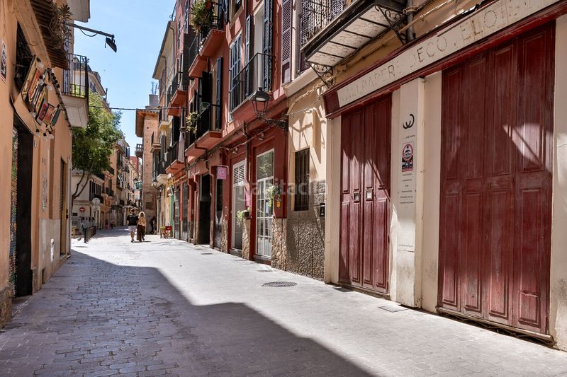 Foto 4a712b0c-c6ba-472d-9bb7-bd02f2403e9d. Àtic a El Sindicat Palma de Mallorca