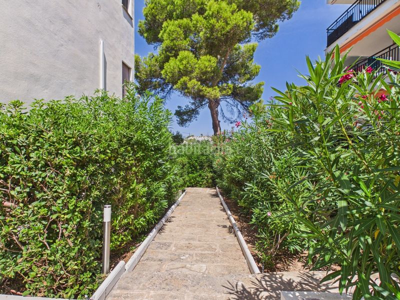 Foto 80d3e4d4-ddb7-4576-b14d-a1ce5851430d. Apartament a Santa Ponça Calvià