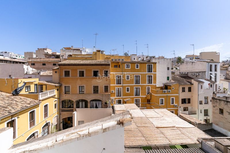 Foto 00dc6272-4583-406a-8c51-1cd431b55b98. Pis a Cort Palma de Mallorca