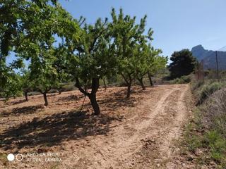 Terreno residenziale in Bot