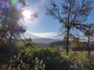 Finca rústica a Cami modefars 13. Finca muy tranquila con olivos centenarios y vistas als ports