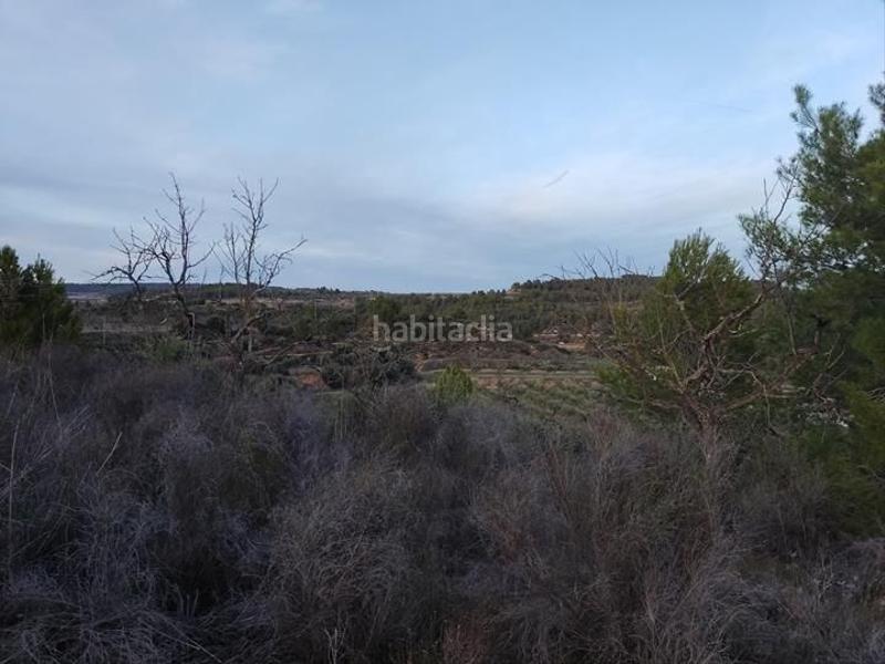 Foto aa3c72b6-ab02-431c-9a30-1ba5e7527191. Finca rústica finca cerca en Bot