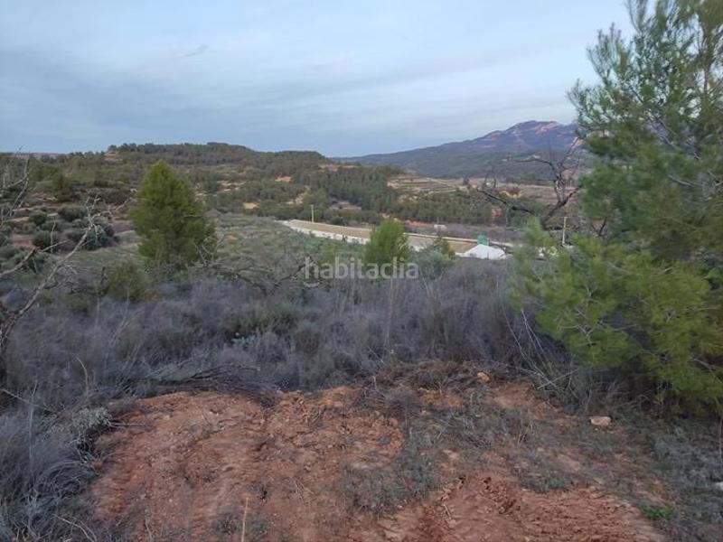 Foto ad94dffb-2d0f-4af2-9c5a-0d127dd05566. Finca rústica finca cerca en Bot