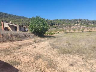 Finca rústica a Horta de Sant Joan. Finca con viñedos y caseta