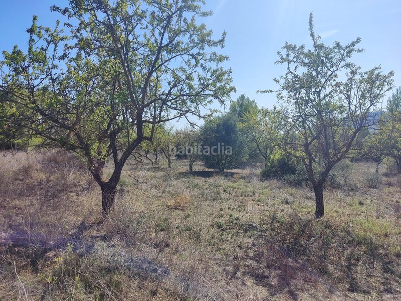 Foto ebdb6a24-f276-485a-a627-0e04640a562c. Finca rústica a raval dels àngels 2 a Horta de Sant Joan