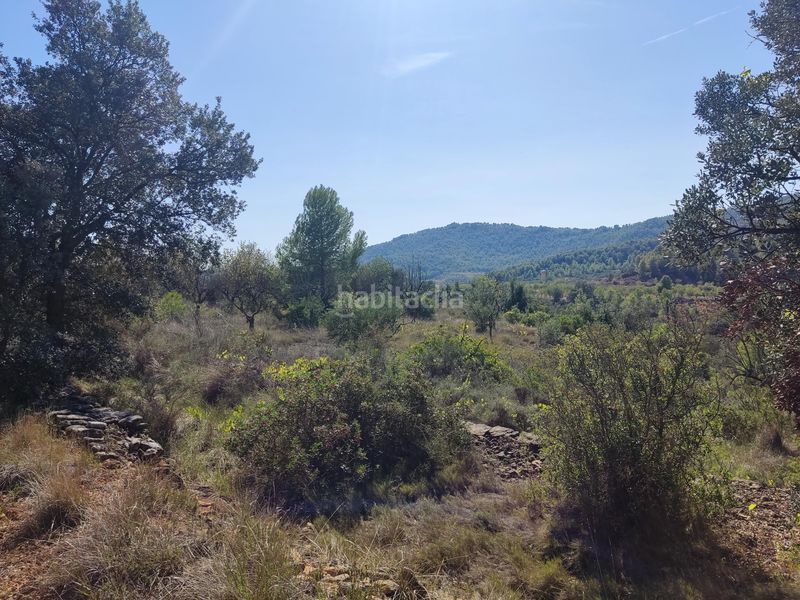 Foto efe17d2f-78b7-4f6b-a63c-cb25eb48c8b4. Finca rústica a raval dels àngels 2 a Horta de Sant Joan