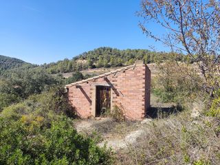 Finca r�stica a Raval dels �ngels 2. Finca a recuperar con casita de herramientas