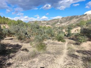 Rural plot in Carrer la pau 3b