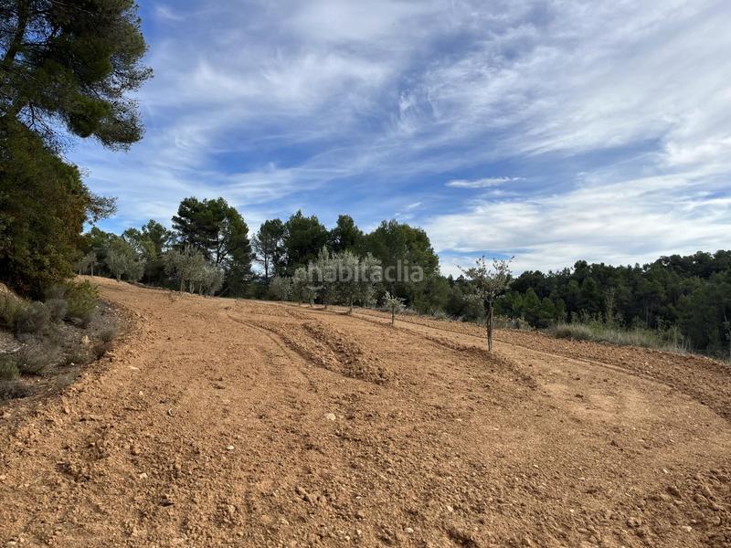 Foto 5c22e2ab-0e03-4194-b9c0-6e106adea554. Finca rústica a calle fuente arrabal 48 a Lledó