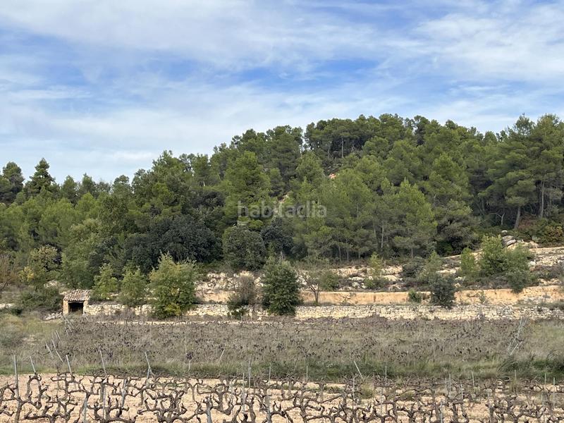 Foto e34a8a90-9e4b-451a-971d-364fe98f97f2. Finca rústica a calle fuente arrabal 48 a Lledó