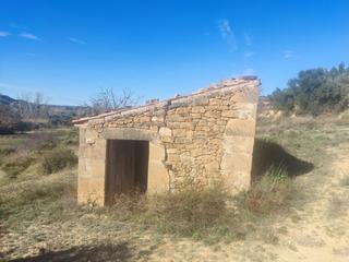 Finca rústica a Mazaleón. Hueto con olivos, agua y construcción