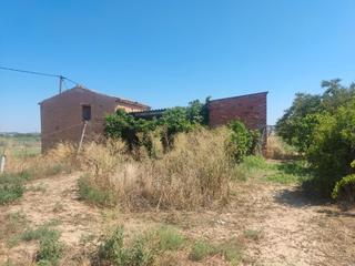 Finca rústica a Ascó. Maset amb llum i aigua a l’illa d’ascó