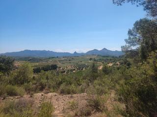 Finca rústica en Bot. Finca amb vistes i possibilitat de reg