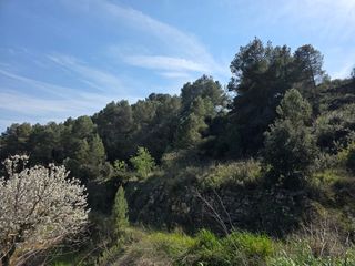 Finca rústica a Carrer soledat 2. Finca amb aigua