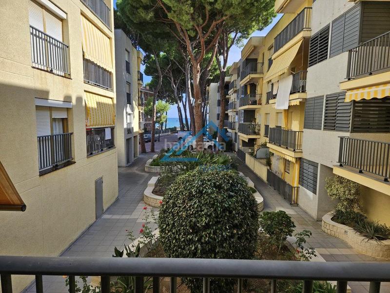 Foto 88e9425f-06a5-4f86-b667-2ebbf8cf4286. Apartament a Regueral - Prat d'en Forés Cambrils