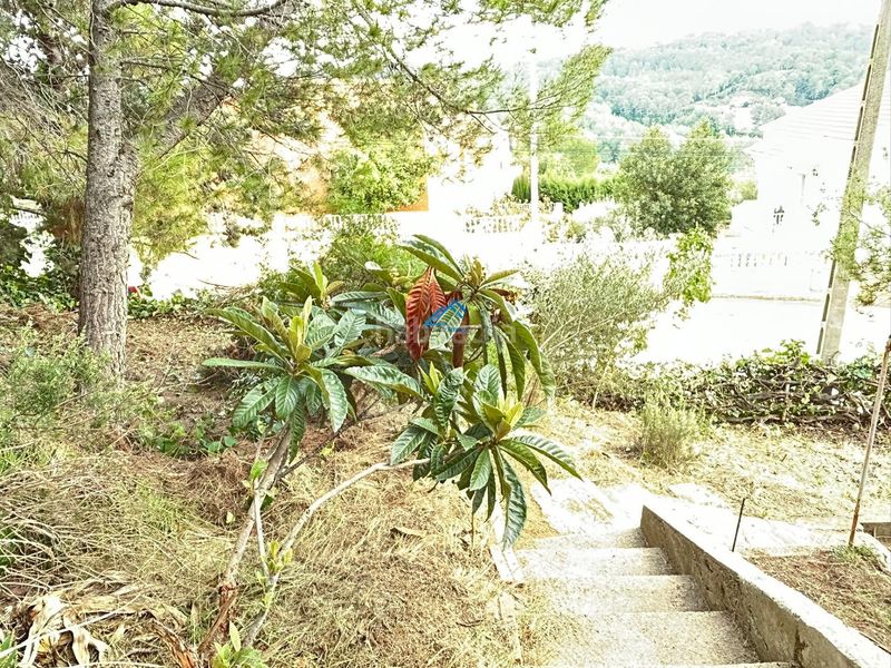 Foto 241d0394-2158-4ba1-92f6-0b3c39099ce9. Terreny residencial a Piera