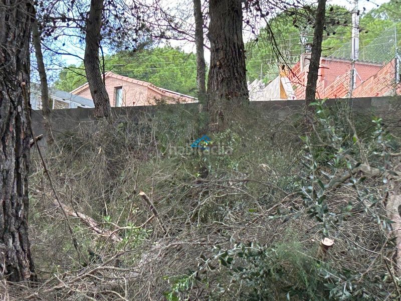Foto 32b3cfed-8eb6-4c2f-ac7b-ebba1984dc18. Terreny residencial a Piera