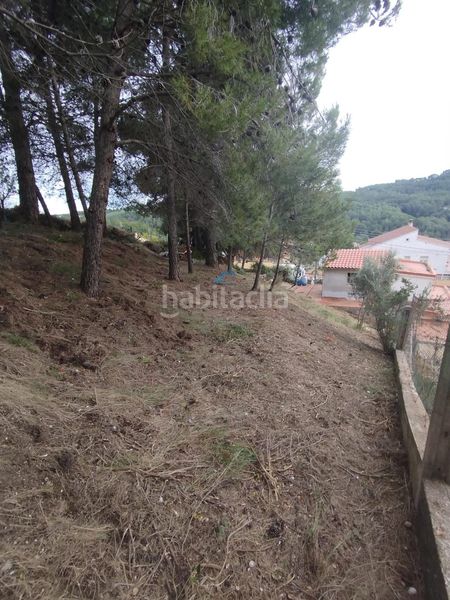 Foto 95cc4b83-3a36-4ca4-a0aa-22164b2c16ed. Terreny residencial a Piera