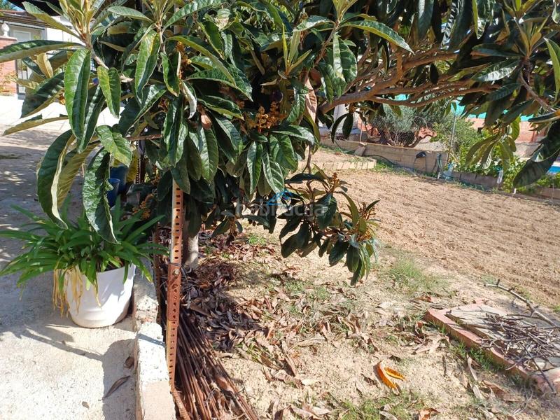 Foto c4f69cc5-251c-447b-b24d-c0c74217fab5. Terreny residencial a Piera