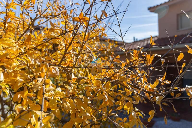 Foto 84f760c1-abbc-417e-9aee-7ef2eab173fe. Terreny residencial a pasaje ronda 6 a Collbató