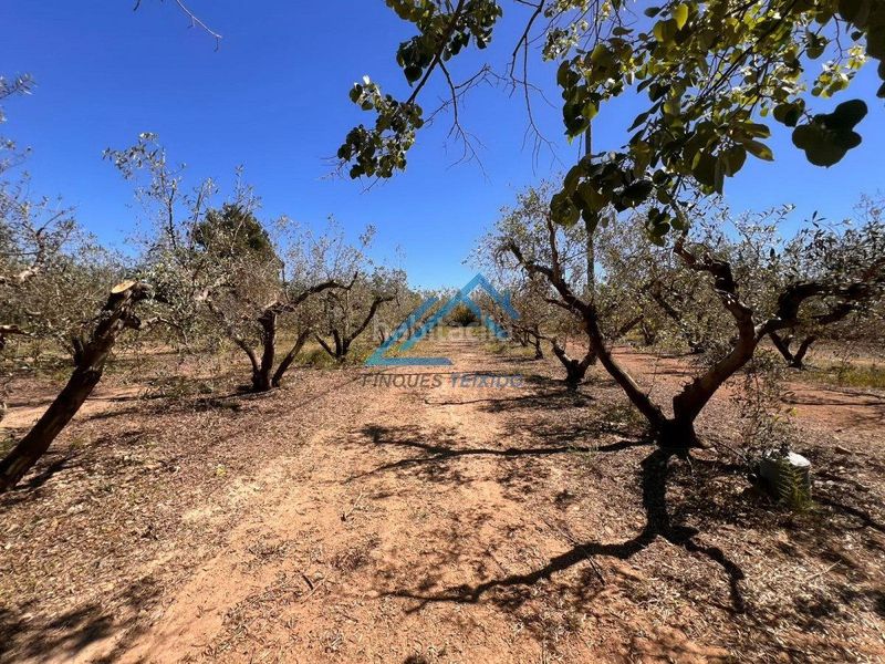 Foto 0029df39-9443-4388-bddd-1311fa8367d2. Finca rústica a Vinyols i els Arcs