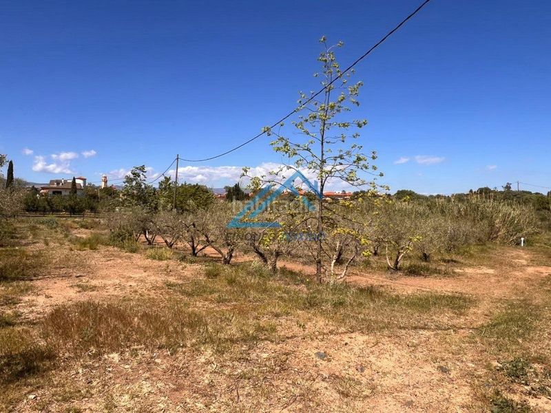 Foto 02a10367-0753-4468-a850-1b67a243c5aa. Finca rústica a Vinyols i els Arcs