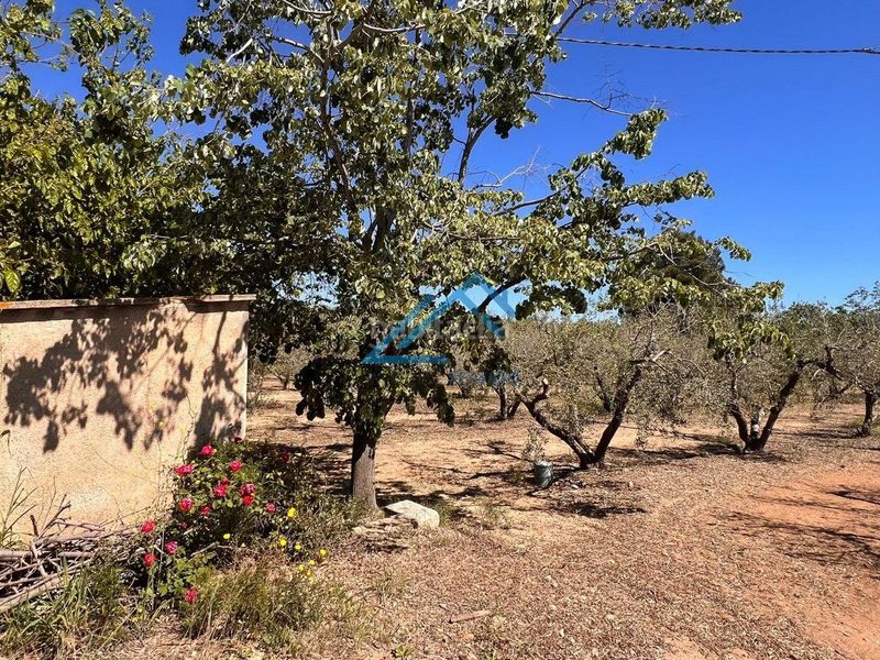 Foto 7951f7d4-d02b-40cb-ae6a-61660b8edbe1. Finca rústica a Vinyols i els Arcs