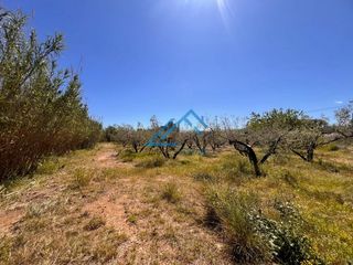 Fondo rustico  Hortets. En venta finca rustica en vinyols i els arcs con 80 olivos.