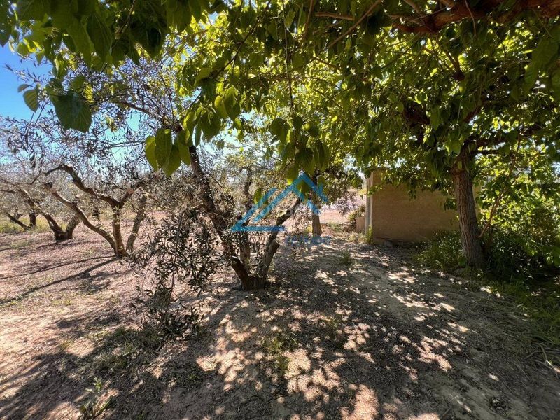 Foto d603c651-2a1e-4e1f-8596-70ac548730e7. Finca rústica a Vinyols i els Arcs