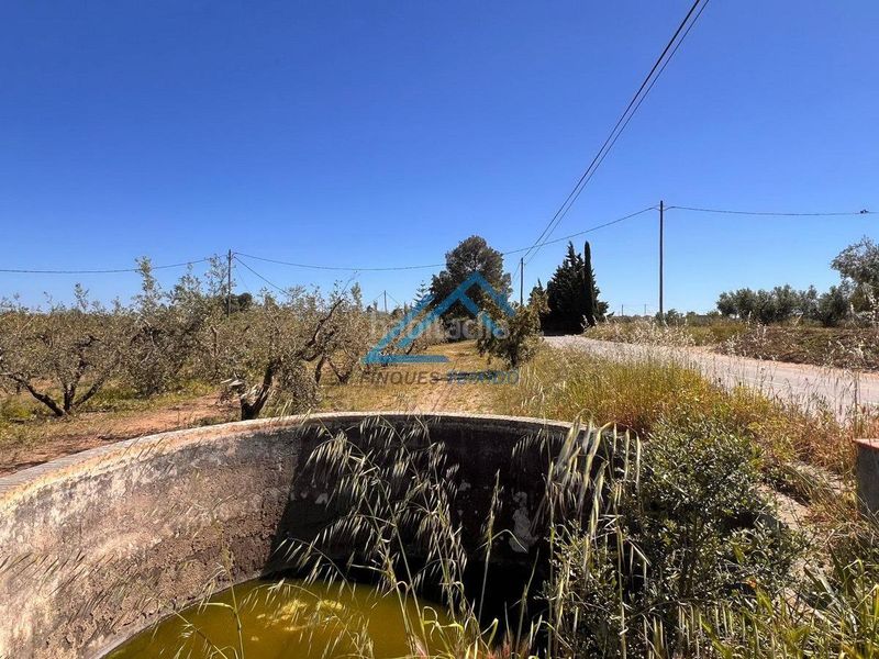 Foto d67820cf-82b7-496c-bf79-7d86a46ee720. Finca rústica a Vinyols i els Arcs