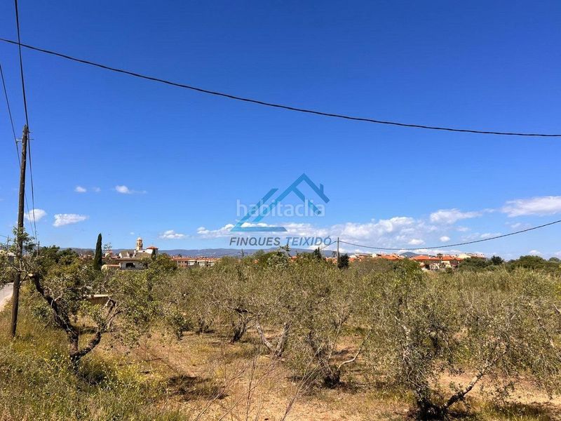 Foto d7e20fa2-a57c-4f8d-bfee-5ab2f35c22f7. Finca rústica a Vinyols i els Arcs