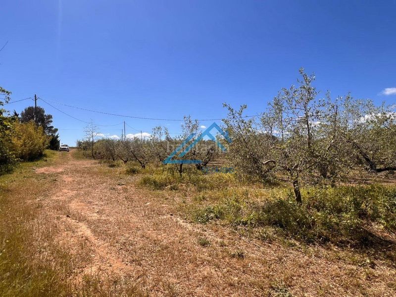 Foto eda0d96f-07a7-44da-9d5f-f6b43ada7364. Finca rústica a Vinyols i els Arcs