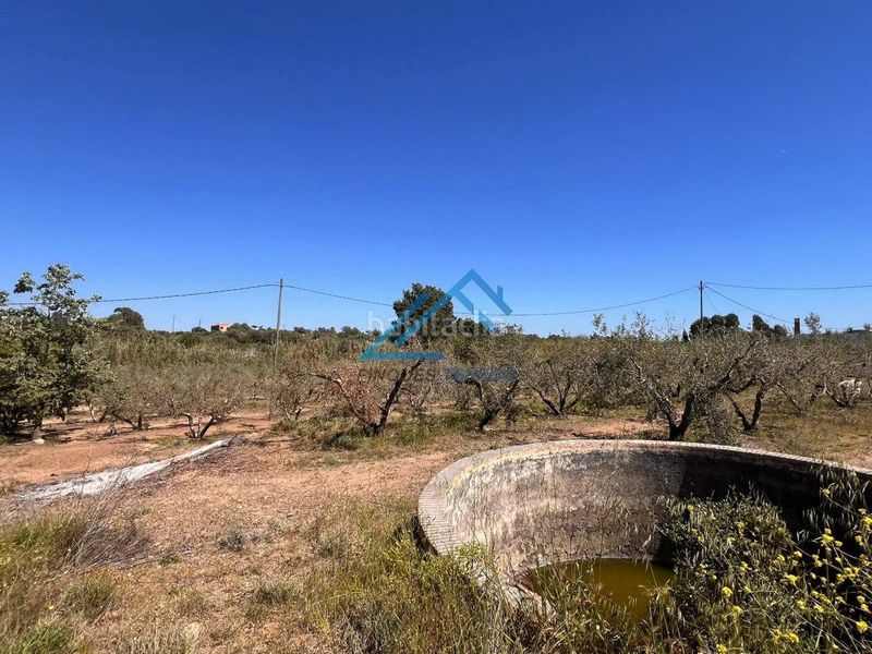 Foto f1b6bb88-9e80-4e3b-a5a1-5dfcdfc342eb. Finca rústica a Vinyols i els Arcs