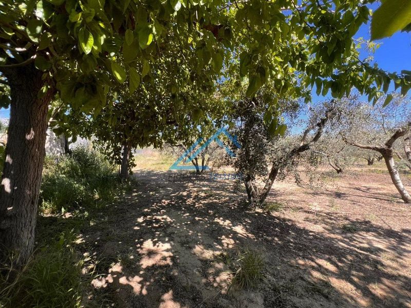 Foto f73a932d-2257-4478-8587-3af2e828cf34. Finca rústica a Vinyols i els Arcs