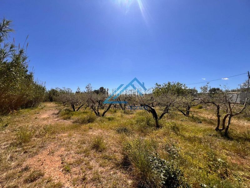 Foto f89854d5-b0cb-4bfc-8ad9-cd0323bed569. Finca rústica a Vinyols i els Arcs