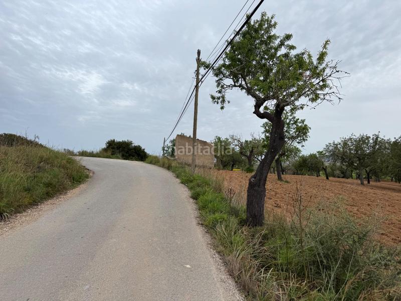Foto 067e8bfa-6cf9-47af-9eaa-5b021af21131. Finca rústica a camino camí vell de Porreres 2 a Porreres