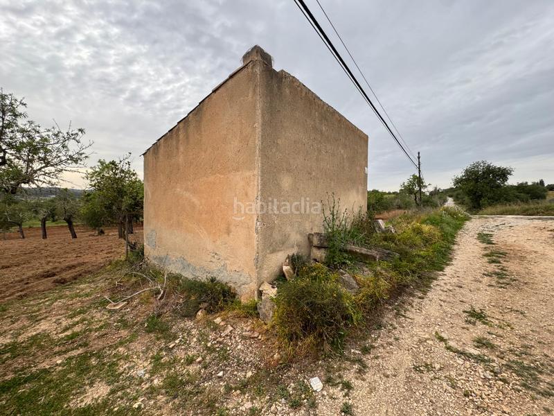 Foto 1c0207f0-2959-4e40-ac5a-46a6600c51b6. Finca rústica a camino camí vell de Porreres 2 a Porreres