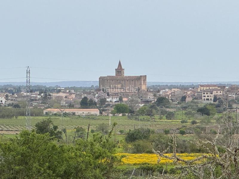 Foto 1db1912e-32d1-4d90-b55c-47f5587cccc3. Finca rústica a camino camí vell de Porreres 2 a Porreres