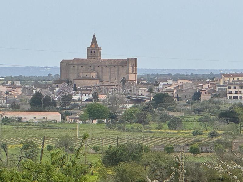 Foto d37e8aee-3d0b-4e4f-830b-ca1396a9d266. Finca rústica a camino camí vell de Porreres 2 a Porreres
