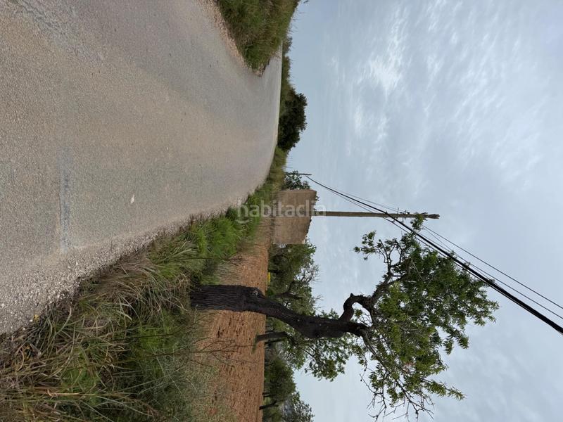 Foto e04d26f5-d385-40fb-bb77-410ad6ec7cff. Finca rústica a camino camí vell de Porreres 2 a Porreres