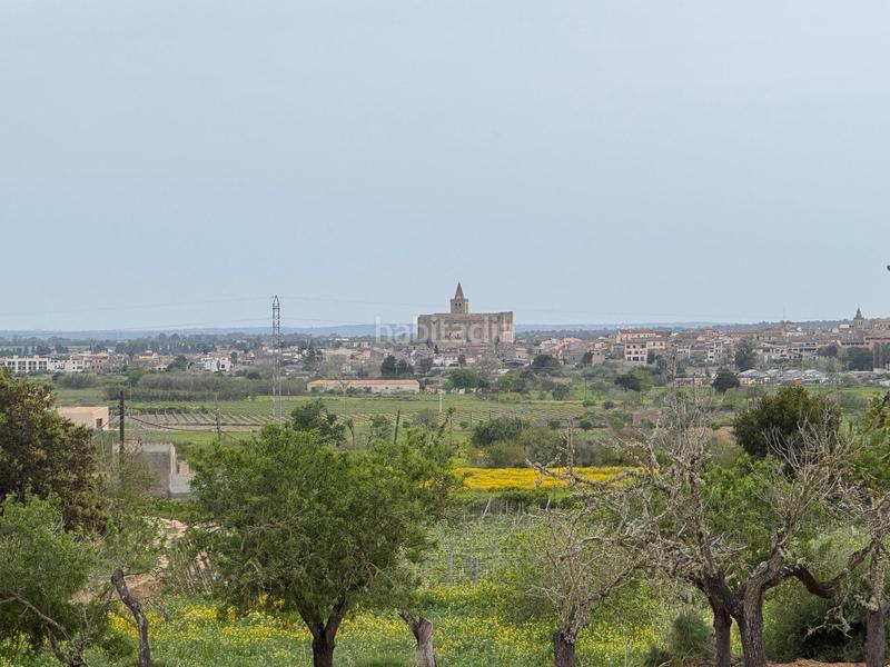 Foto f2af2da3-afc9-417b-b7b1-2f6f59830484. Finca rústica a camino camí vell de Porreres 2 a Porreres