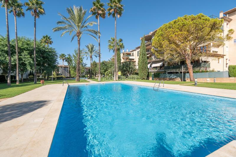 Foto 7239baba-ea9b-4155-9047-b03b53816c58. Pis amb aparcament piscina a Sa Teulera Palma de Mallorca