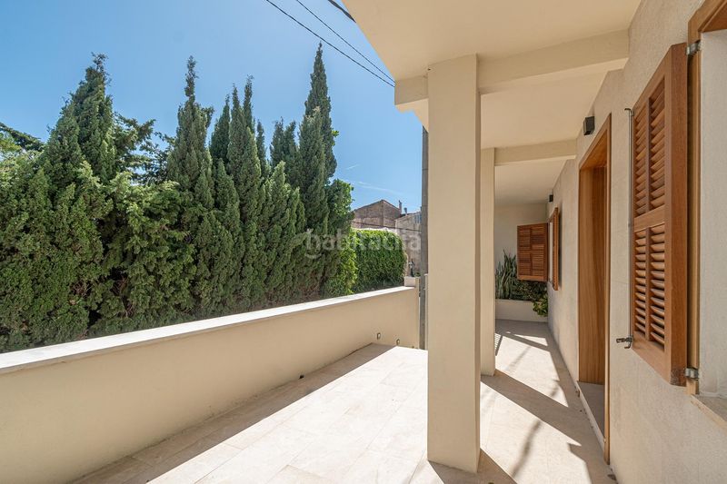 Foto e1d382ab-46b5-45bb-bb9e-eaf806140652. Planta baixa a Selva