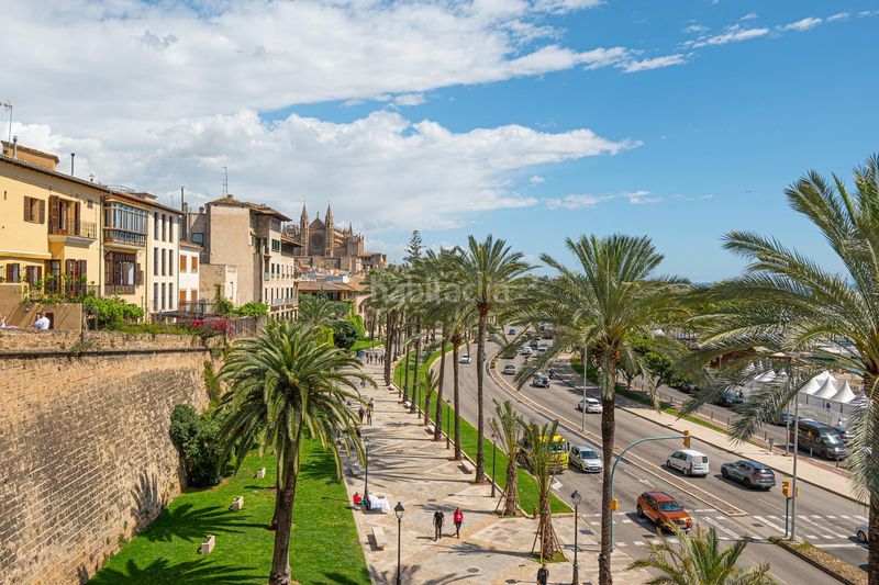 Foto a156efb3-6d8d-46f5-95b8-548701e6d2dc. Planta baixa amb calefacció a El Fortí Palma de Mallorca