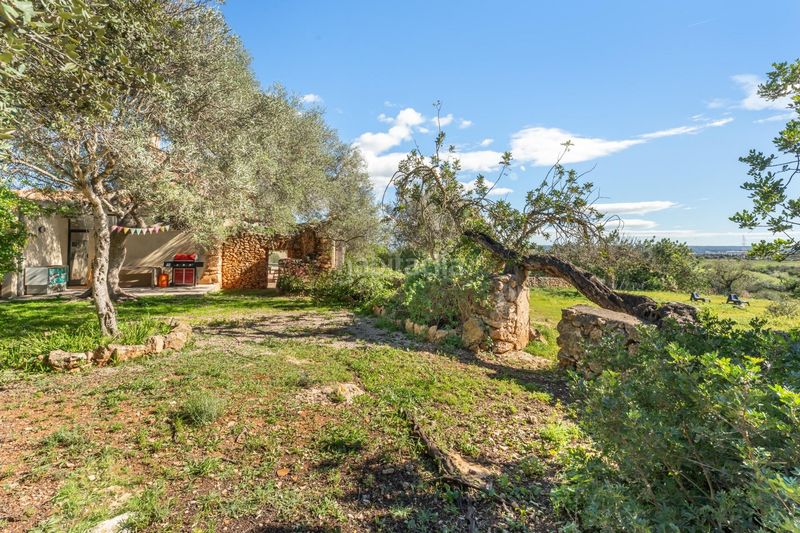 Foto e35add27-d99e-4c1b-a3d6-6ab8d80104c2. Casa amb calefacció aparcament a Son Ferriol Palma de Mallorca