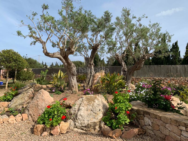 Foto 1e8ef147-0f23-4740-a0c2-4f9f449150ba. Chalet finca con alma mediterránea, un oasis privado con piscina y gran parcela en sant francesc xavier en Formentera