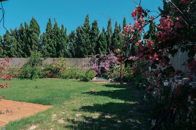 Foto 4c6d27d8-a9ba-408d-84d5-bb721c887bbd. Chalet finca con alma mediterránea, un oasis privado con piscina y gran parcela en sant francesc xavier en Formentera